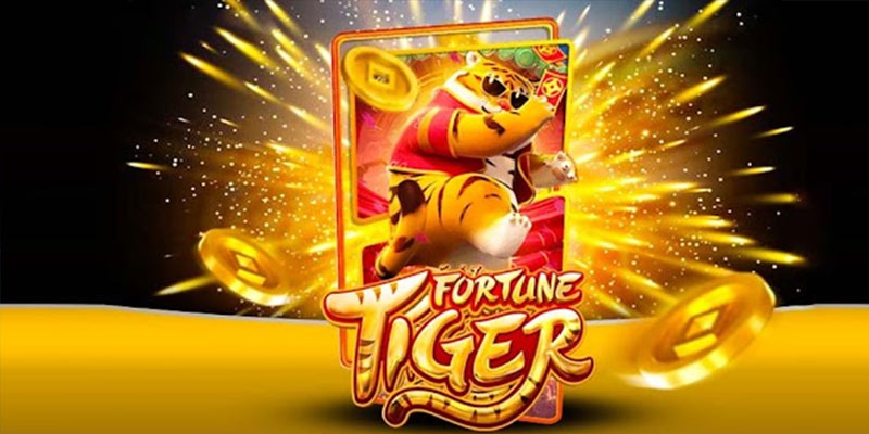 Quem é o Fortune Tiger 81betbet.Com